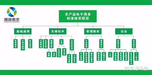 構(gòu)建智能引領(lǐng)的農(nóng)產(chǎn)品電商標(biāo)準(zhǔn)體系 標(biāo)準(zhǔn)化、系統(tǒng)化與工程化路徑